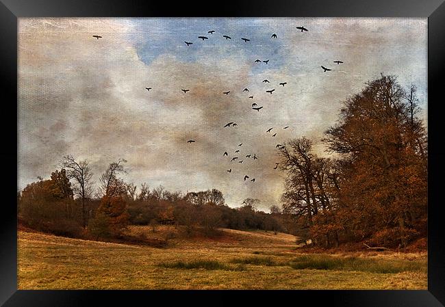 Where the Crows Fly Framed Print by Dawn Cox
