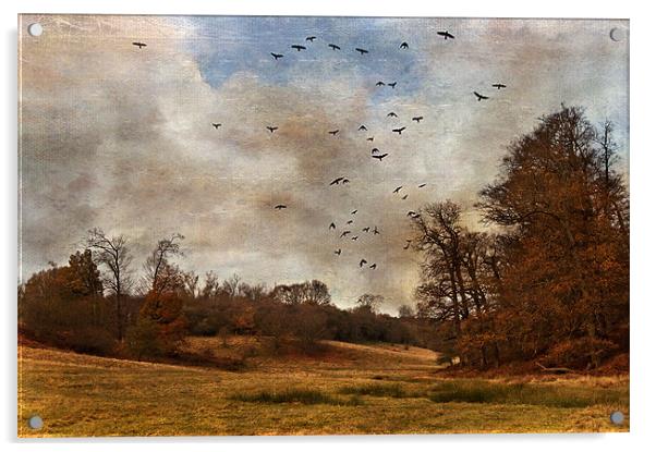 Where the Crows Fly Acrylic by Dawn Cox