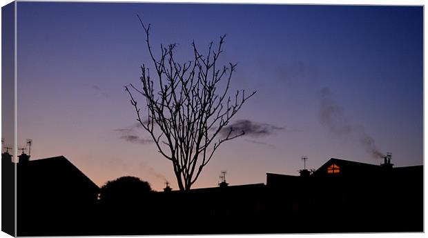 Evening in Dingle Canvas Print by barbara walsh