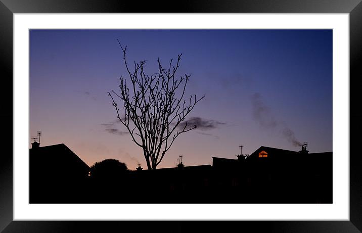 Evening in Dingle Framed Mounted Print by barbara walsh