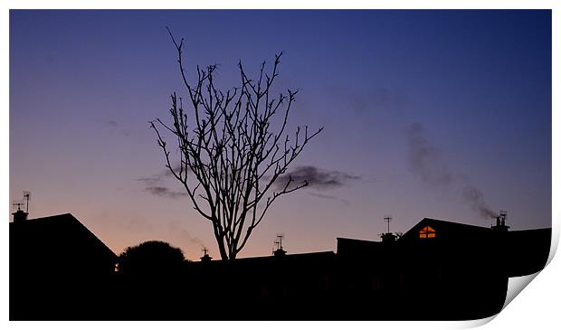 Evening in Dingle Print by barbara walsh