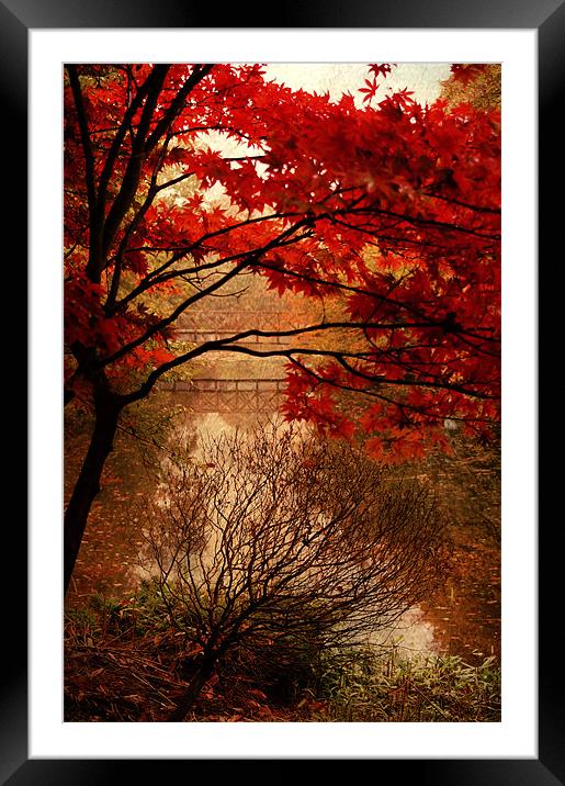Reflections of Autumn Framed Mounted Print by Dawn Cox