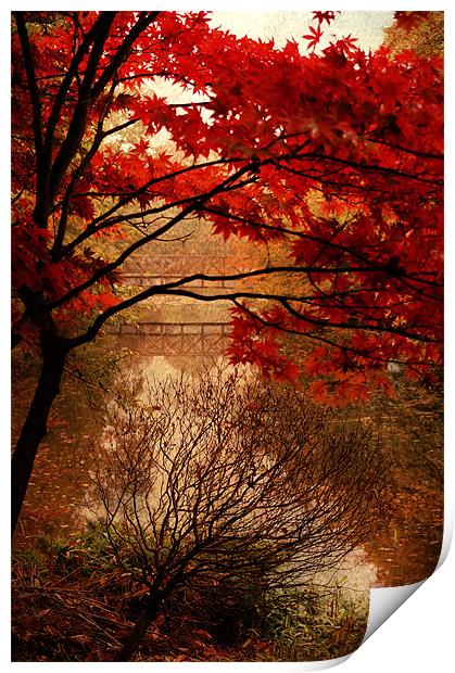 Reflections of Autumn Print by Dawn Cox