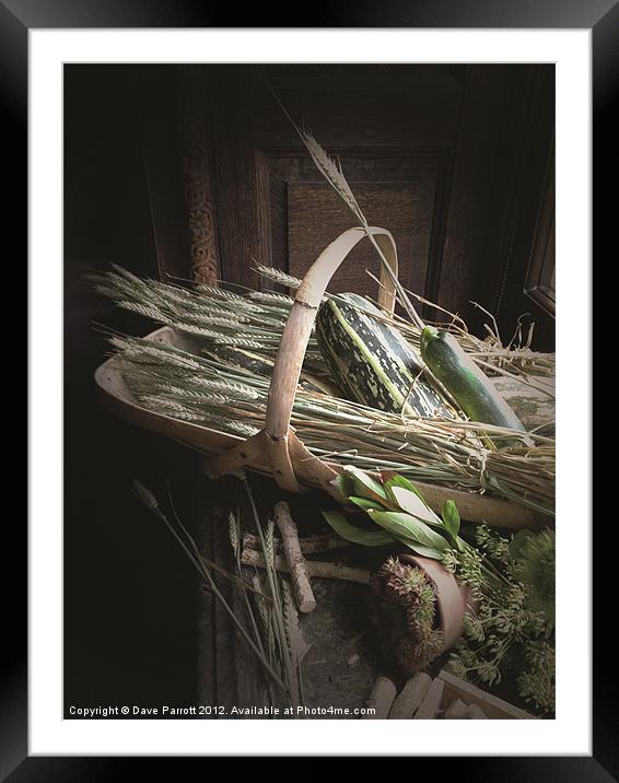 Harvest Time Framed Mounted Print by Daves Photography