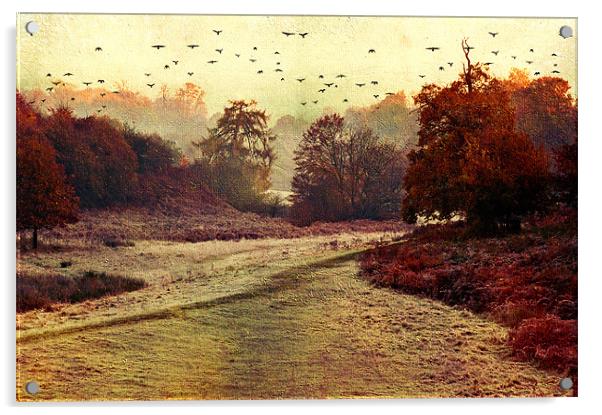 Autumn walk Acrylic by Dawn Cox