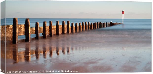 Blyth Beach Canvas Print by Ray Pritchard