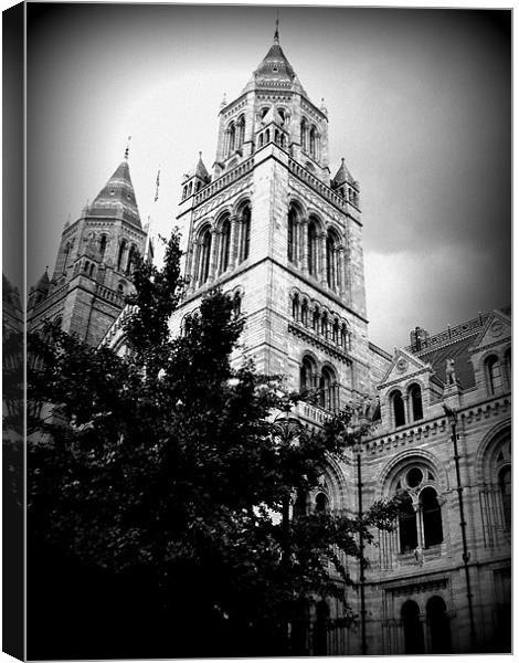 natural history museum Canvas Print by trudi green