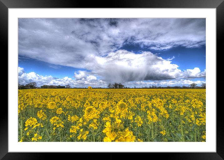 APRIL SHOWERS Framed Mounted Print by Paul Nichols