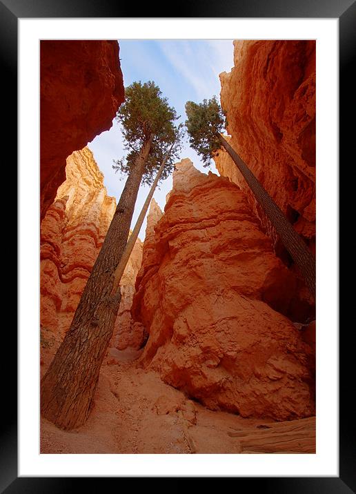 Bryce Canyon walls Framed Mounted Print by Thomas Schaeffer