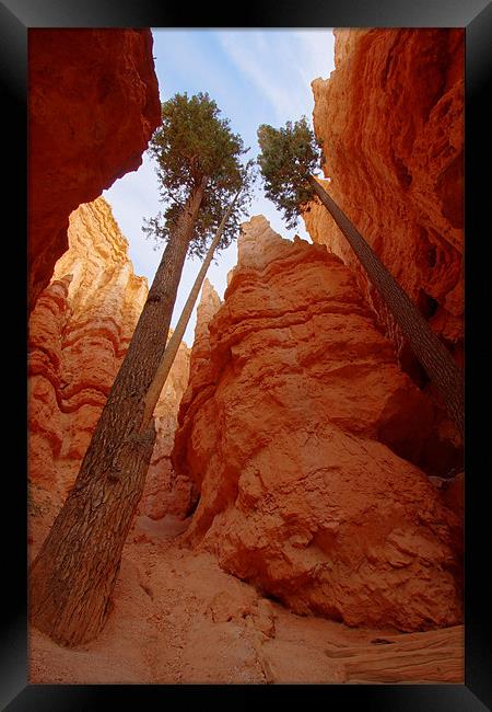 Bryce Canyon walls Framed Print by Thomas Schaeffer