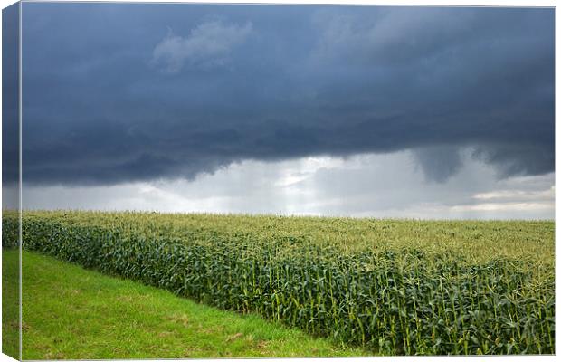 Storm over cornfield in Southern Germany Canvas Print by Ian Middleton