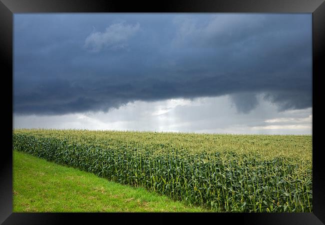 Storm over cornfield in Southern Germany Framed Print by Ian Middleton