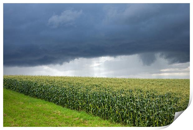 Storm over cornfield in Southern Germany Print by Ian Middleton