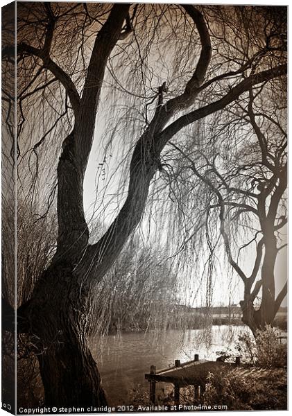 Weeping willow 1 Canvas Print by stephen clarridge
