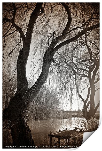Weeping willow 1 Print by stephen clarridge
