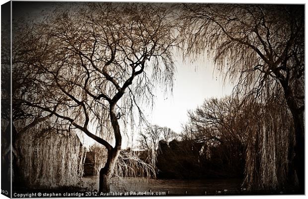 Weeping willow 2 Canvas Print by stephen clarridge