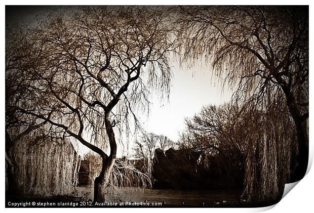 Weeping willow 2 Print by stephen clarridge