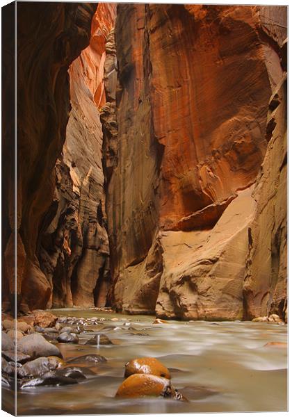 The Narrows Canvas Print by Thomas Schaeffer
