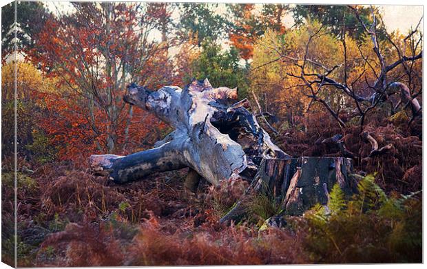 How the Mighty have Fallen Canvas Print by Dawn Cox