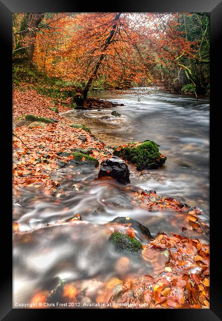 Winding away to Fingle Bridge Framed Print by Chris Frost