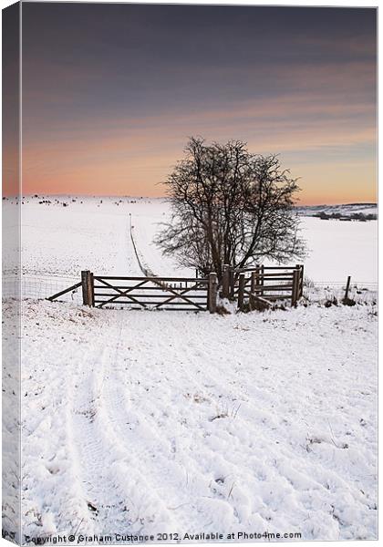 Winter Landscape Canvas Print by Graham Custance