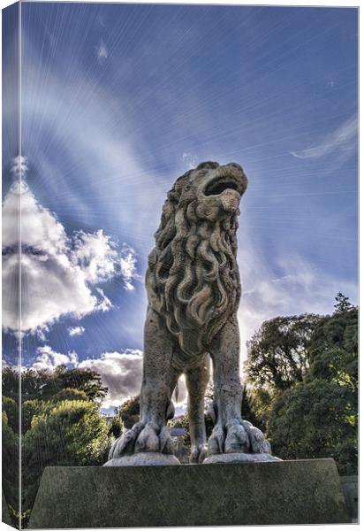Just Lion in the Sun Canvas Print by Fraser Hetherington