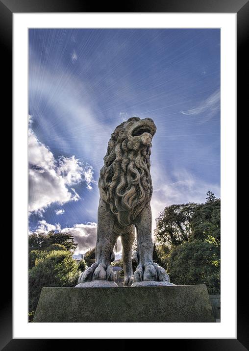 Just Lion in the Sun Framed Mounted Print by Fraser Hetherington