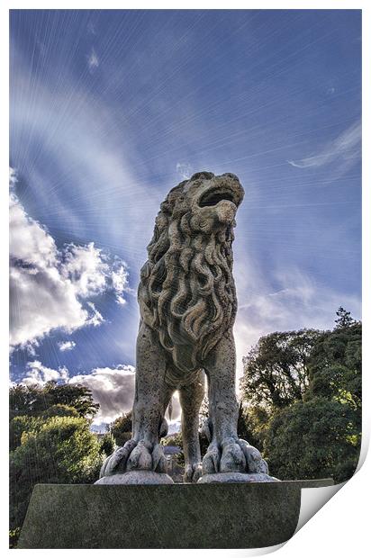 Just Lion in the Sun Print by Fraser Hetherington