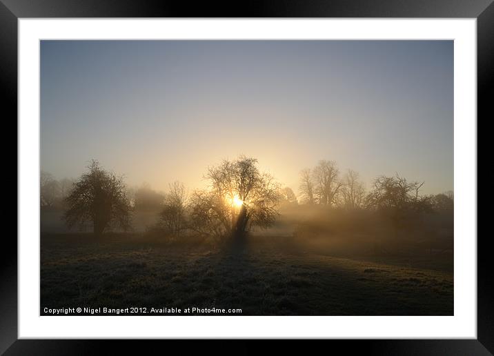 Misty Dawn Framed Mounted Print by Nigel Bangert