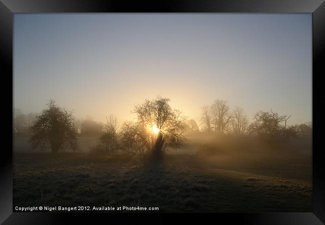 Misty Dawn Framed Print by Nigel Bangert