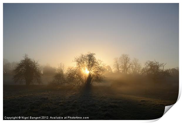 Misty Dawn Print by Nigel Bangert