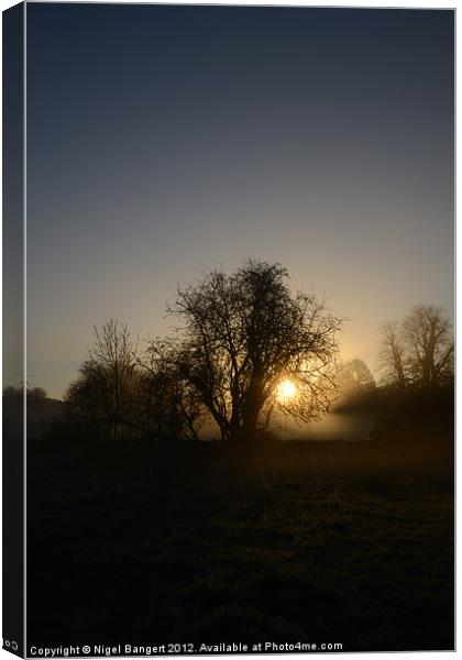 Misty Sunrise Canvas Print by Nigel Bangert