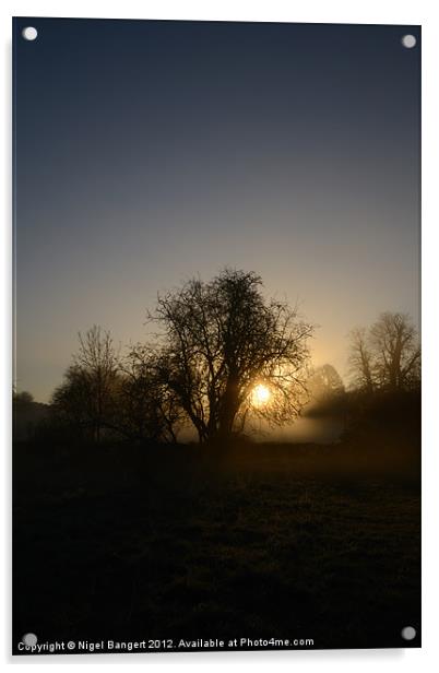 Misty Sunrise Acrylic by Nigel Bangert