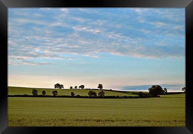 A Summer Evening Framed Print by graham young