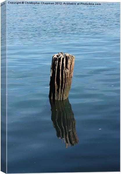 Weathered Wood on the Cobb Canvas Print by Christopher Chapman