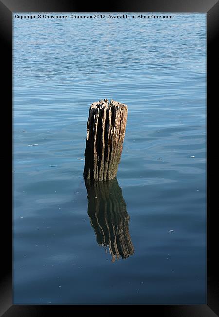 Weathered Wood on the Cobb Framed Print by Christopher Chapman