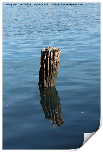 Weathered Wood on the Cobb Print by Christopher Chapman