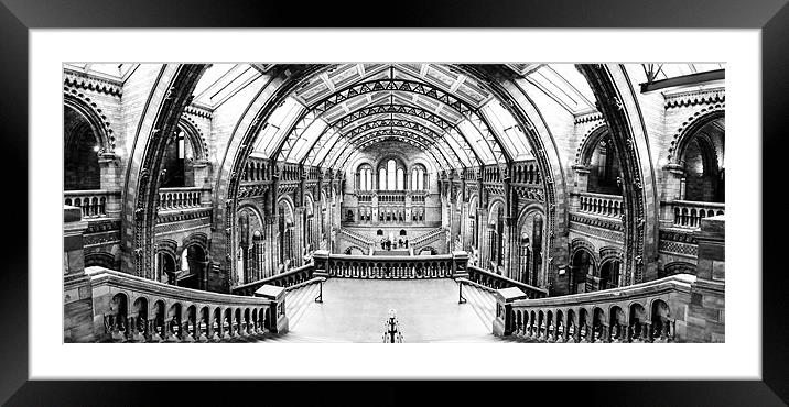 National History Museum panoramic 01. Framed Mounted Print by Jan Venter