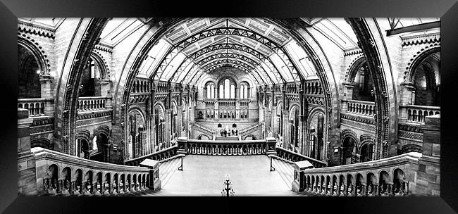 National History Museum panoramic 01. Framed Print by Jan Venter