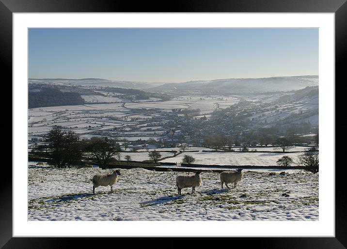 Yorkshire -6 Framed Mounted Print by Richard Greenwood