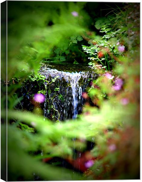 waterfall Canvas Print by trudi green
