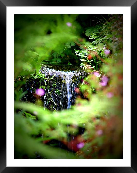 waterfall Framed Mounted Print by trudi green