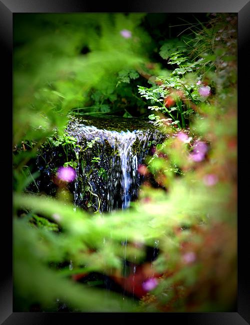 waterfall Framed Print by trudi green