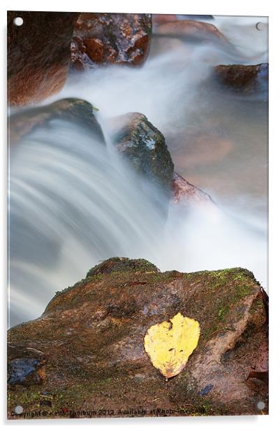Leaf to Water Acrylic by Keith Thorburn EFIAP/b