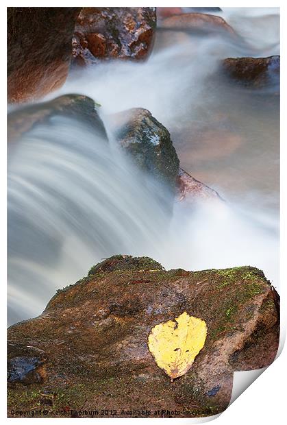 Leaf to Water Print by Keith Thorburn EFIAP/b