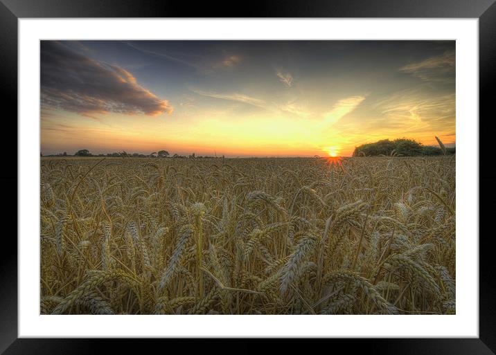 Summer Ends Framed Mounted Print by Paul Nichols