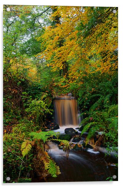 Upper Coppice Wheel, Rivelin Acrylic by Darren Galpin