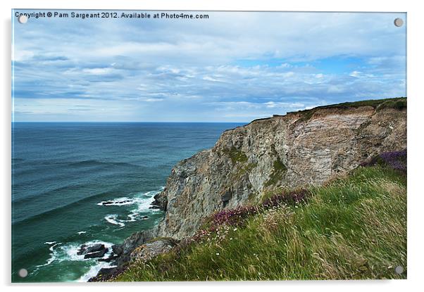 Cornish Coastline Acrylic by Pam Sargeant