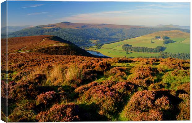 Ladybower Reservoir from Whinstone Lea Tor Canvas Print by Darren Galpin
