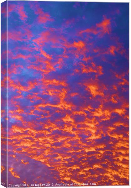 Coral Sky Canvas Print by Brian  Raggatt